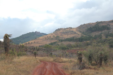 R&eacute;serve naturelle de Milwane, Swaziland
