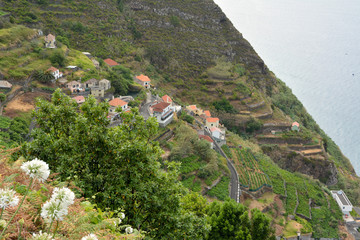 Fototapeta na wymiar Houses in cliffs, porto moniz, madeira