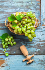 Overhead green grapes in knitted basket on old blue rustic wooden table and cork opener