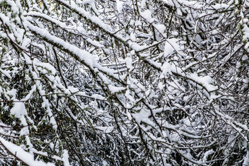 The Sainte-Baume massif, in Provence, under the snow