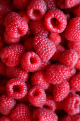 A lot of raspberry
