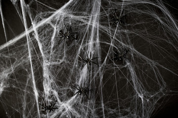 halloween decoration of black toy spiders on web