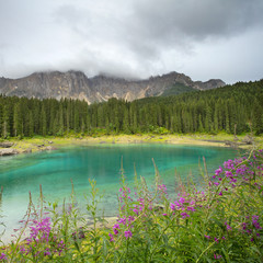 Fototapety  view to emerald lake with purple flowers in Italy