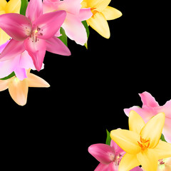 Vector Illustration with Lily Flowers Isolated on Black Backgrou