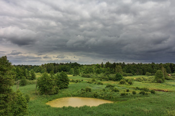 Dolina rzeki Narewki, Białowieski Park Narodowy
