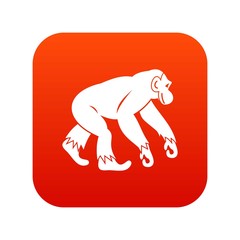 Monkey standing icon digital red