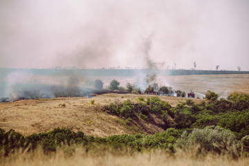 Fototapeta na wymiar Natural summer fires among agricultural fields