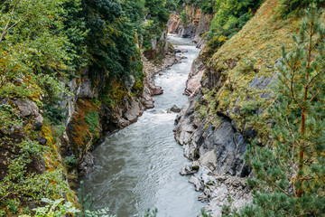 Mountain river in the gorge between rocks and trees
