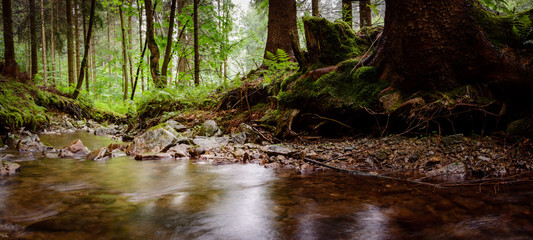 Bach, Wasserlauf im Erzgebirge Wald 1