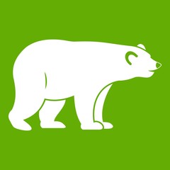 Wild bear icon green