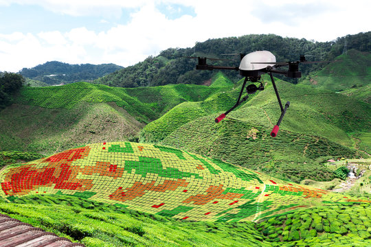 Smart agriculture , farm , precision farming concept. Drone and NIR images application screen used to create field health maps for normalize difference vegetation index in field.