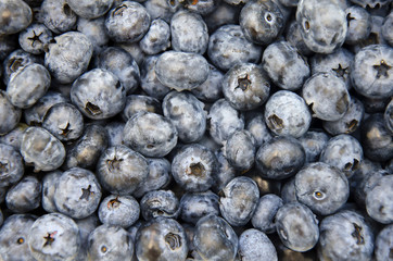 Food background - Blueberry berries close up