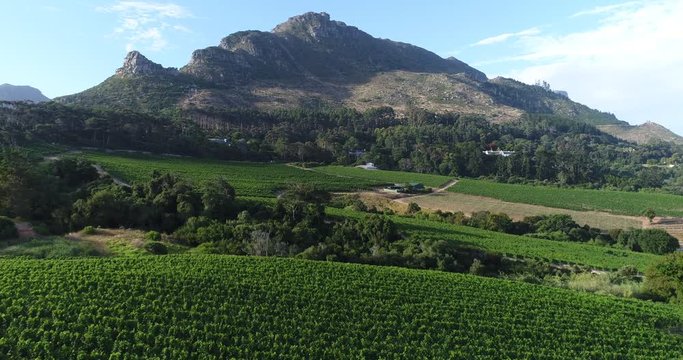 Aerial of Wine Farm in Constantia, Cape Town 