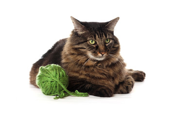 Big brown Maine Coon cat playing with green yarn, isolated on white