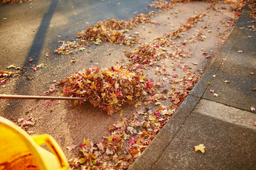 a pile of leaves being raked