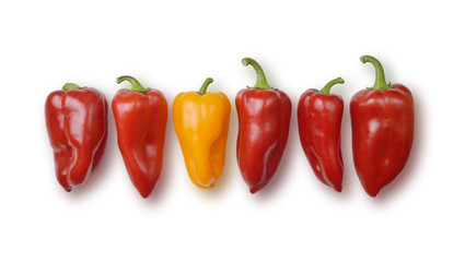 Red and orange bell peppers in a row isolated on white. Clipping path included.