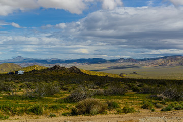 Fototapeta na wymiar desert in spring - california