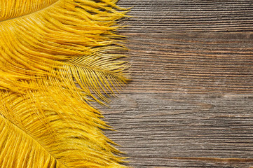 Ostrich Feathers on Rustic Wooden Table