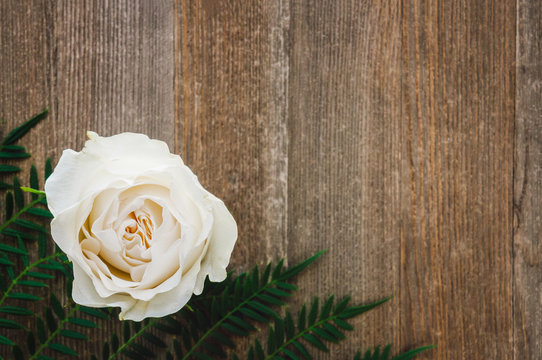 White Rose on Rustic Wooden Table
