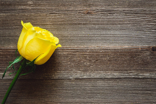 Yellow Rose on Rustic Wooden Table