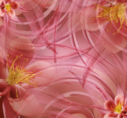 Floral red-pink beautiful background . Wallpapers of light pink-yellow. Flower composition. Nature.