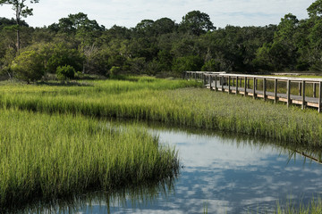 Fototapeta premium Salt Marshes