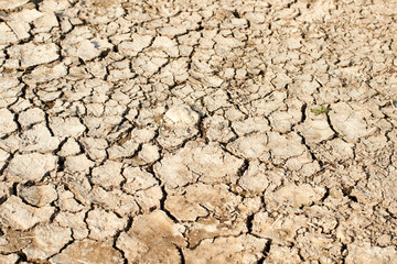 Cracked dry earth