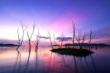 Fototapeta na wymiar beautiful sunset on the reservoir , reflection of silhouettes dry tree , landscape thailand