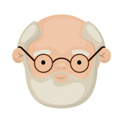 colorful face of bearded grandfather with a few white hair and glasses