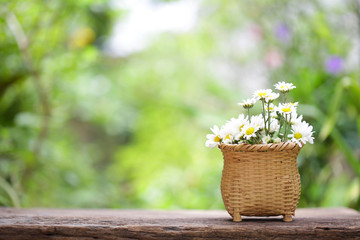 White flower in wicker baskets