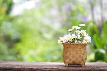 White flower in wicker baskets