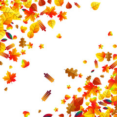 Autumn leaves scattered background. Oak, maple and rowan