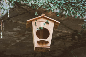 Bird house hanging from the tree with vintage.