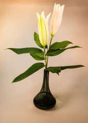 Lily flowers vintage photo vintage