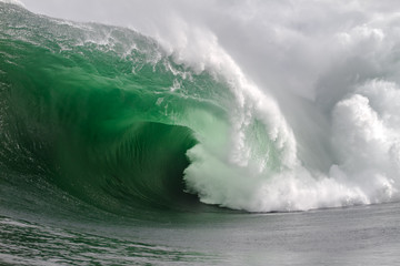 Big Tasmanian Surf