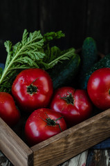 fresh tomatoes with water drops in wooden box with herbs on wooden table