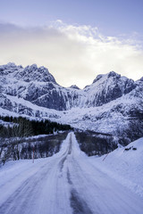 Fototapeta na wymiar the road of Lofoten.,Norway
