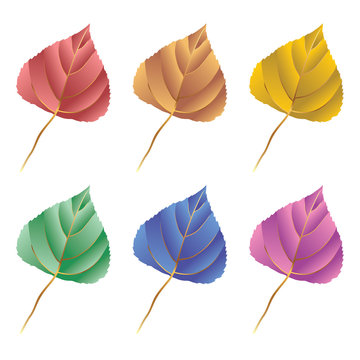 Collection of color autumn leaves.  Autumn leaves set. Maple leaves. Collection of color autumn leaves for design, banner, background, ornament, and discount. Gradient autumn leaves.