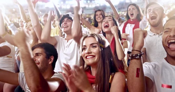 Fans cheer at the stadium