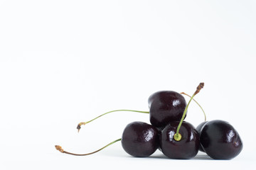 Black cherry on white background