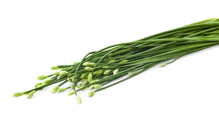 Chinese chives flower on white background