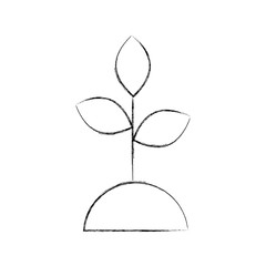 ecology plant isolated icon vector illustration design