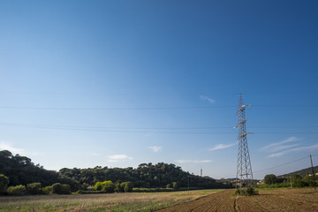 Electricity tower on a yellow field on a solid blue sky