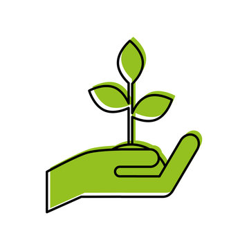 hand human with plant vector illustration design