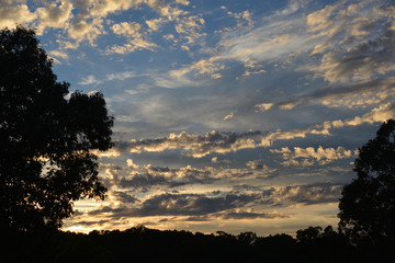 bubbly clouds
