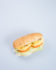 sandwich or tasty egg sandwich on background.