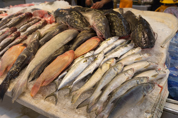 Bangkok-Thailand, 24 AUG 2017:Or Tor Kor Market in Bangkok and is ranked the 4th fresh market in the world by a famous travel guide.