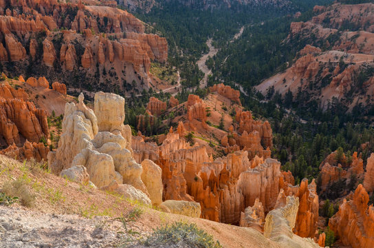 rock hoodoos on the slopes of Bryce Canyon
Upper Inspiration Point, Bryce Canyon National Park, Utah, United States