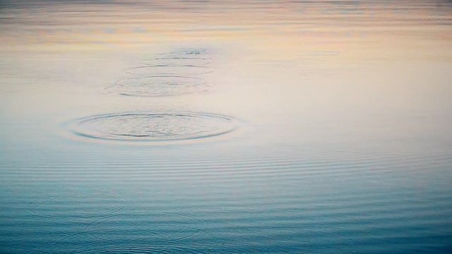 Stone skimmed on water. Beautiful view of skipping a small flattened rock thrown and bouncing off water surface across body of water many times and finally sinking in the lake, river, sea or ocean