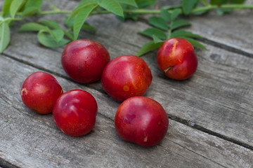 nectarine on  wooden plank